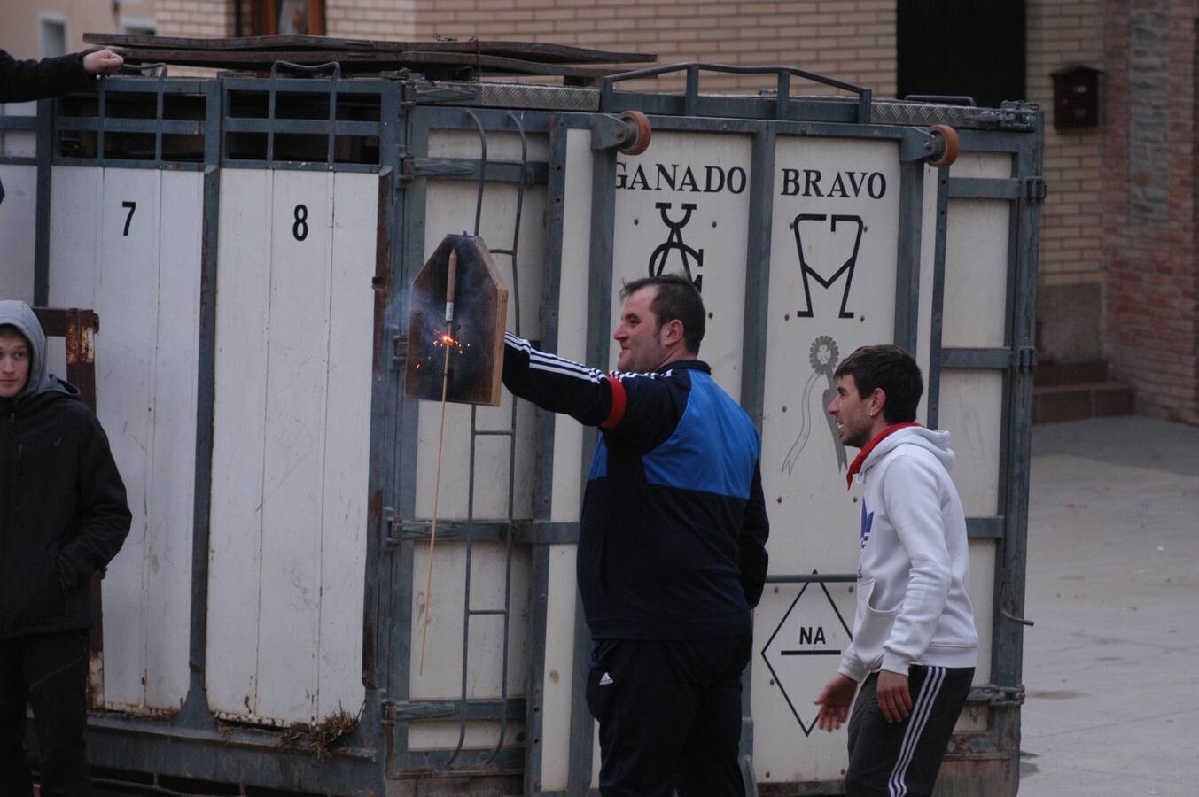 exhibición de anillas en Rincón de Olivedo 