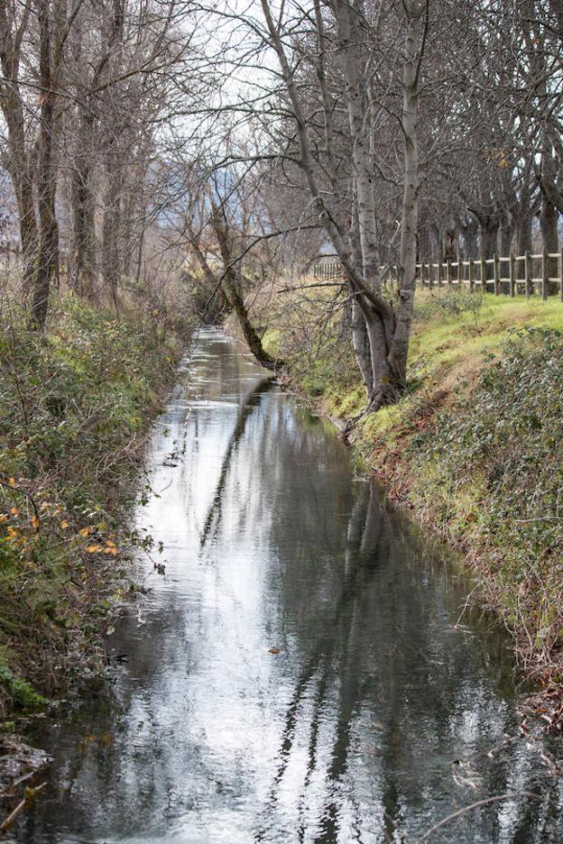 El Canal Nuevo. :: 