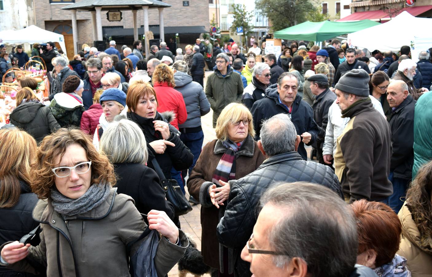 La plaza de la Tela de Nalda ha acogido este domingo la XIX edición de la jornada de la Pasa, a la que asistió numeroso público a pesar del tiempo desapacible.