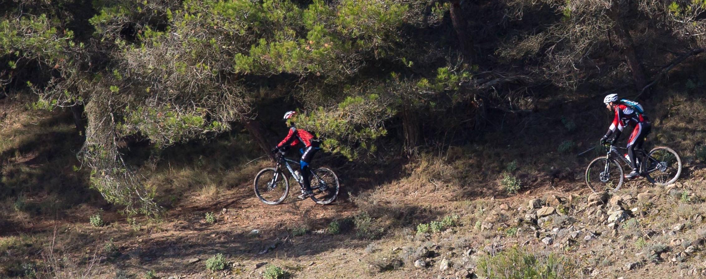 Los ciclistas disfrutaron de una estupenda carrera.