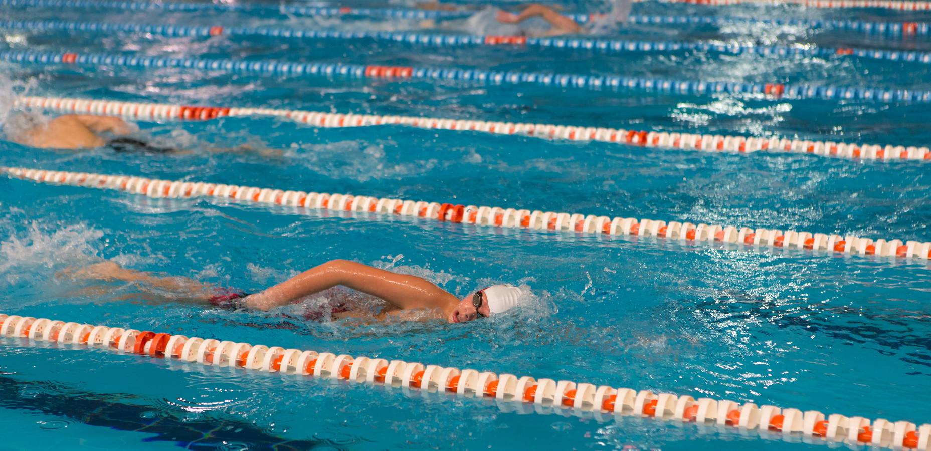 El Club de Natación (CN) Rivalia, de Calahorra, se ha proclamado ganador por clubes, en la categoría Master, del XXXIV Campeonato de La Rioja Absoluto de Invierno y VI Campeonato Máster de Natación, celebrado en el Complejo Adarraga