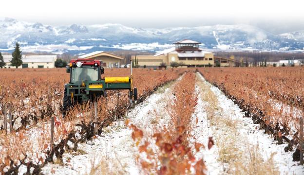 Tractor trabajando en una viña en Villalobar de Rioja durante las últimas nevadas. :: 