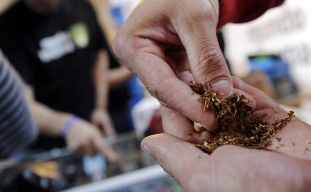 Hombre se prepara un cigarrillo de marihuana en la feria Expo Cannabis que se celebra en Leganés. 