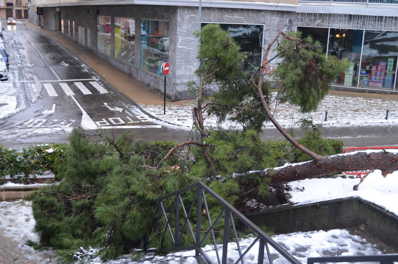 El municipio permanecía blanco este domingo tras la nevada del sábado