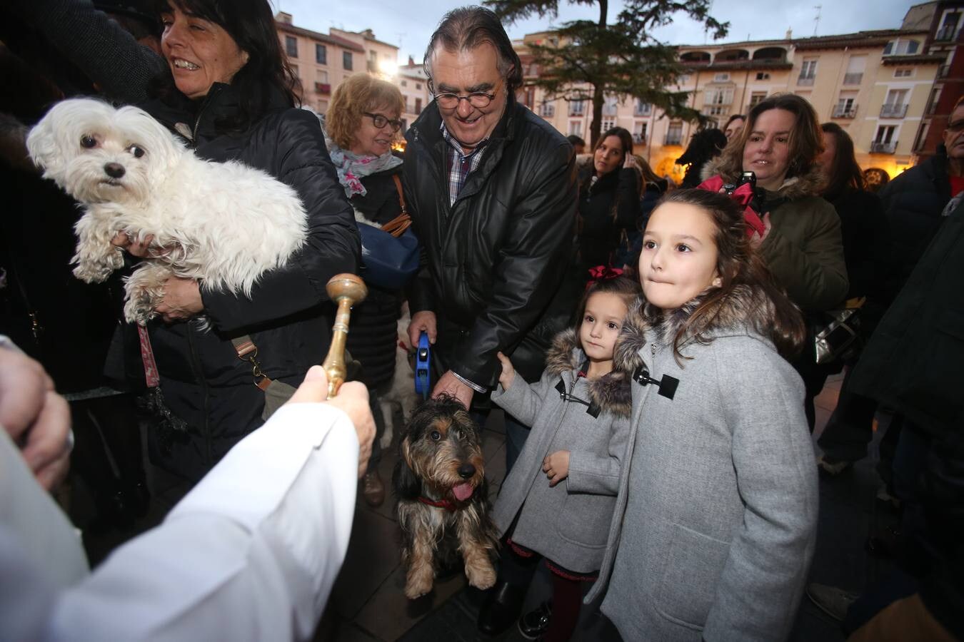 Numerosas personas acudieron con sus mascotas a la Plaza del Mercado para que fueran bendecidas frente a La Redonda