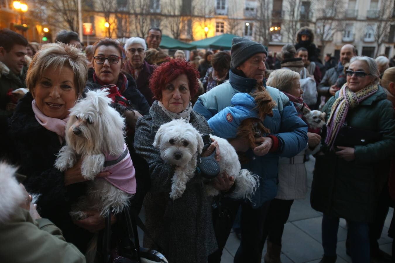 Numerosas personas acudieron con sus mascotas a la Plaza del Mercado para que fueran bendecidas frente a La Redonda