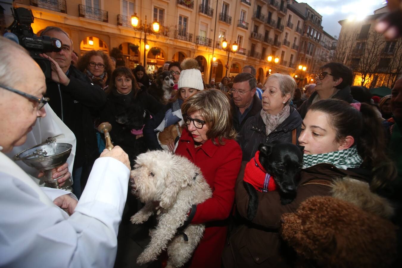 Numerosas personas acudieron con sus mascotas a la Plaza del Mercado para que fueran bendecidas frente a La Redonda