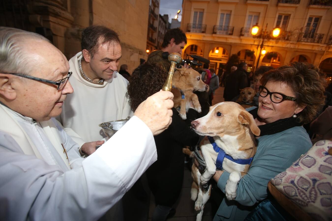 Numerosas personas acudieron con sus mascotas a la Plaza del Mercado para que fueran bendecidas frente a La Redonda