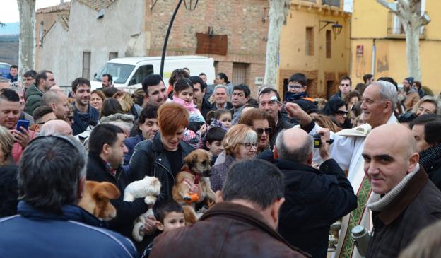 Numerosos calagurritanos llevaron a sus mascotas al Planillo de San Andrés para recibir la bendición de San Antón. :: i