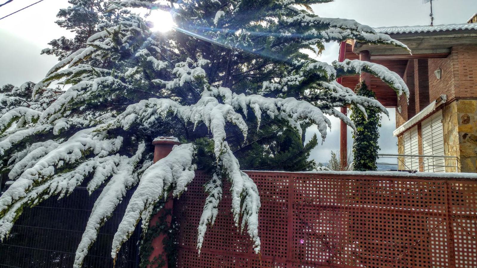 La nieve vuelve al Rasillo