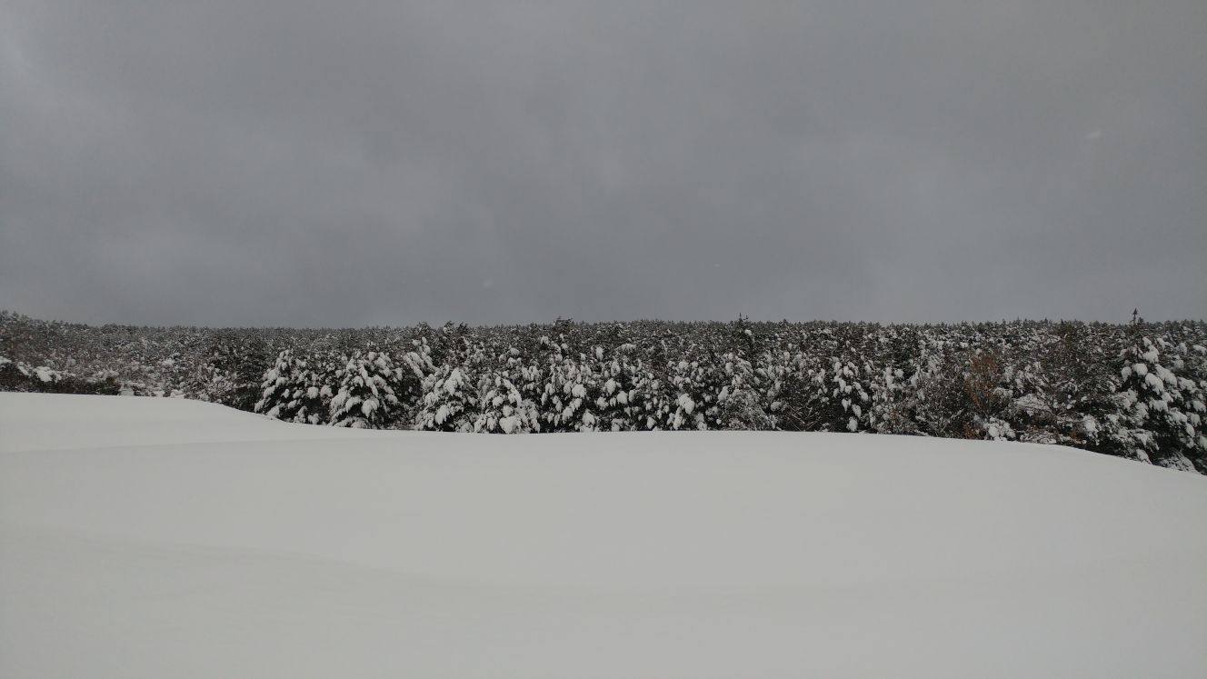 Imágenes de varios puntos de La Rioja cubiertos de nieve.