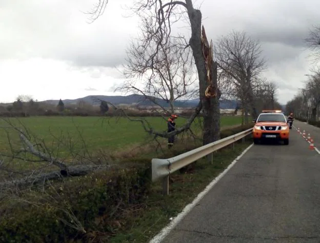 Voluntarios de Protección Civil retiran un árbol en La Carrera. :: p.c.