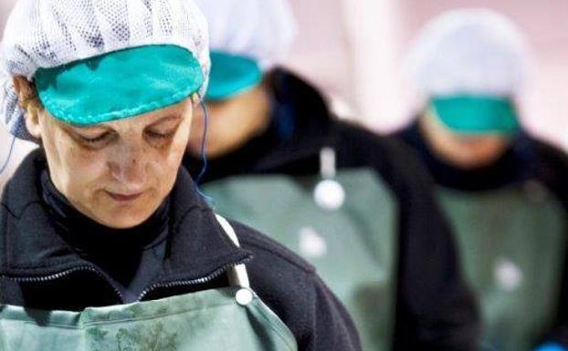 Producción de conservas vegetales (izquierda) y de pescados (derecha). :: emperatriz.