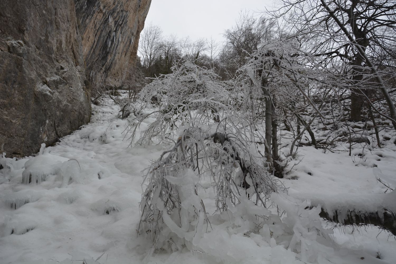 El Chorrón de Viguera, el sábado