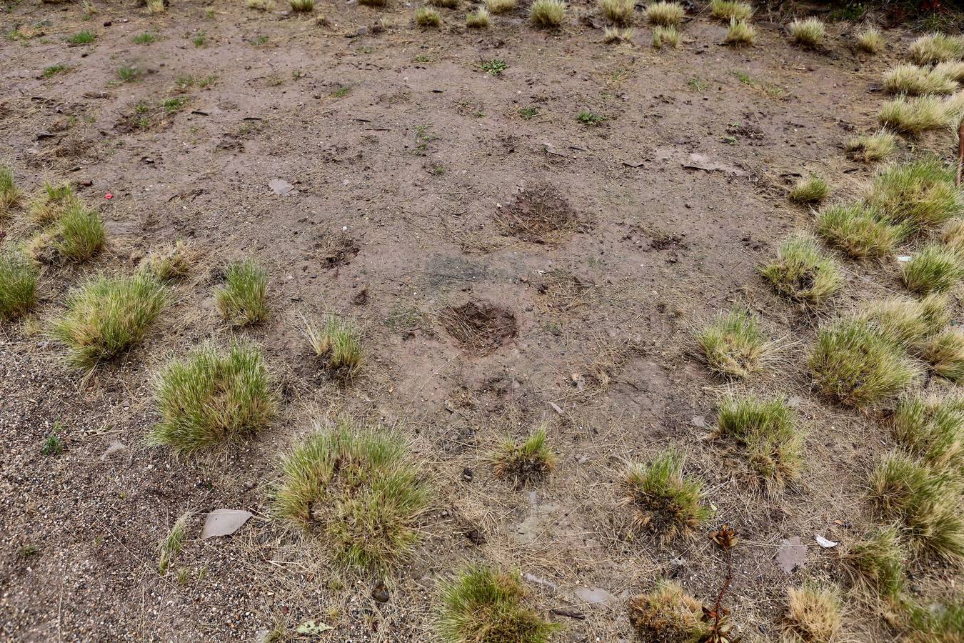 El parque sobre la estación de tren de Logroño acumula daños y destrozos por actos vandálicos en el equipamiento urbano