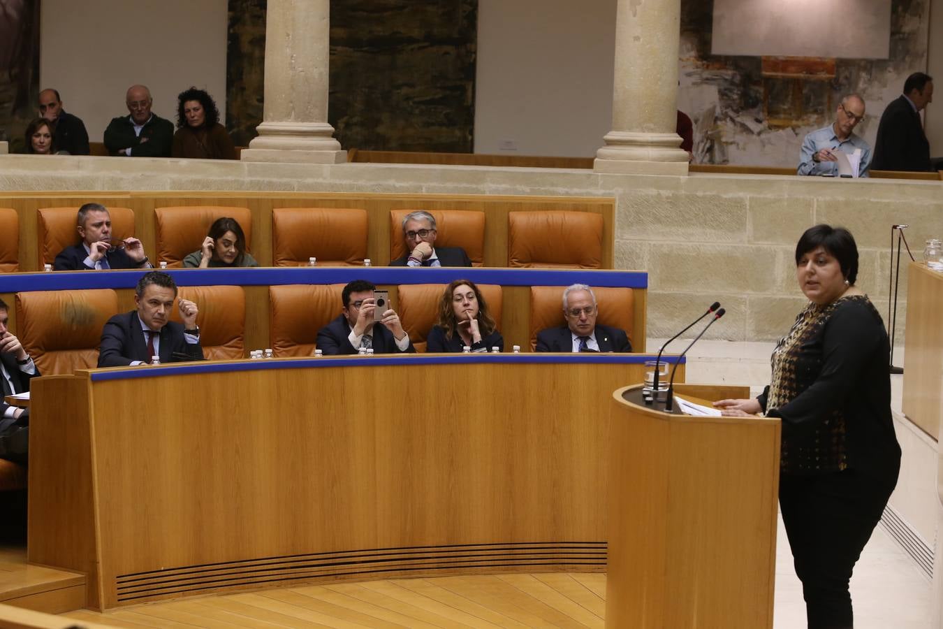 Las mejores imágenes que ha dejado el pleno del Parlamento riojano, en el que el PP ha sacado adelante la Ley de tauromaquia con la abstención (por error) de Podemos 