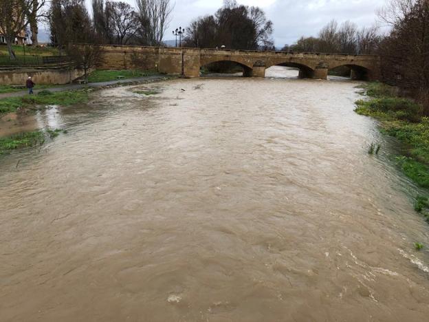 El Oja a su paso por el término municipal de Casalarreina. :: caperos