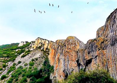 Imagen secundaria 1 - Arriba, el chorrón este de Pueña Puerta. Abajo a la izquierda, Peña Puerta, murallón calizo en el nacimiento del arroyo de Madre, al sur de Viguera. Abajo, el chorrón oeste.