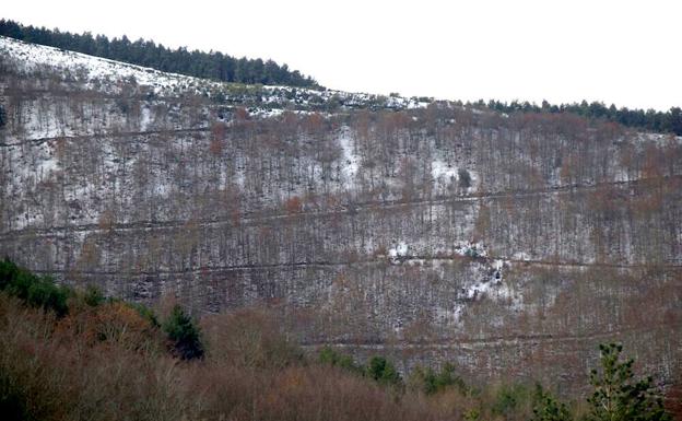 Invierno en el bosque del entorno de Valgañón. 