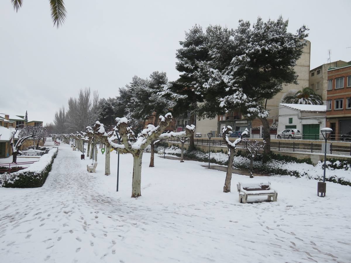 El temporal de nieve en LA Rioja ha dejado preciosas estampas, como estas de Alfaro en las que las cigüeñas han tenido un protagonismo especial