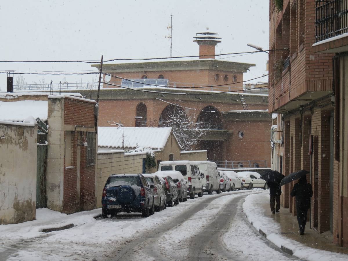 El temporal de nieve en LA Rioja ha dejado preciosas estampas, como estas de Alfaro en las que las cigüeñas han tenido un protagonismo especial