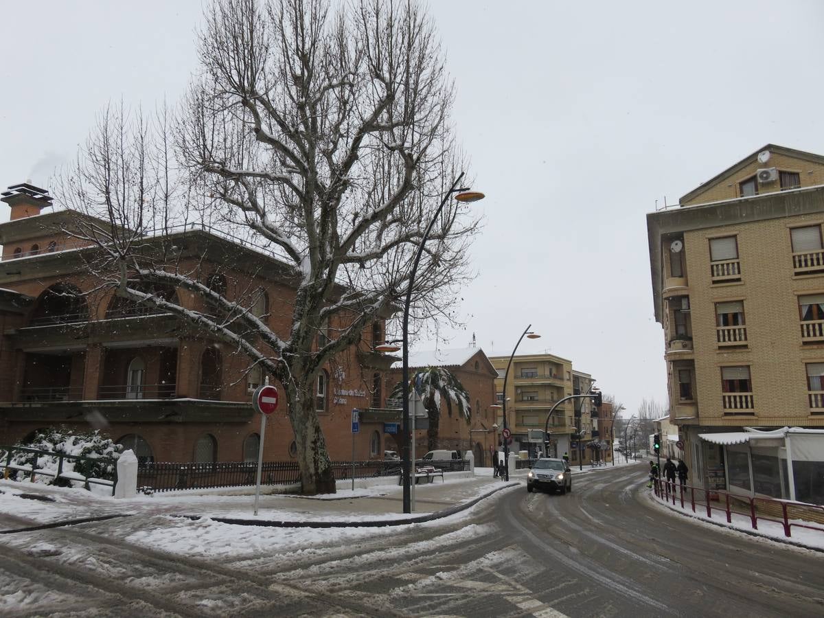 El temporal de nieve en LA Rioja ha dejado preciosas estampas, como estas de Alfaro en las que las cigüeñas han tenido un protagonismo especial