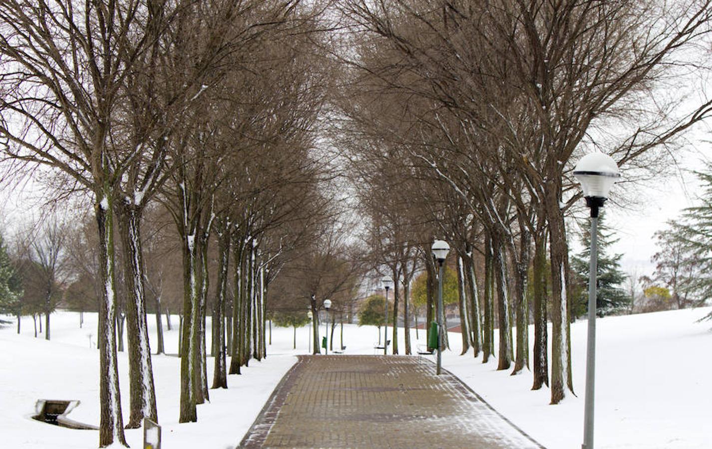 Un paseo mañanero se transforma como por arte de magia en una sensación diferente cada vez que un manto de nieve cubre la ciudad. El parque de San Miguel lucía con todo su esplendor la mañana de este 28 de febrero