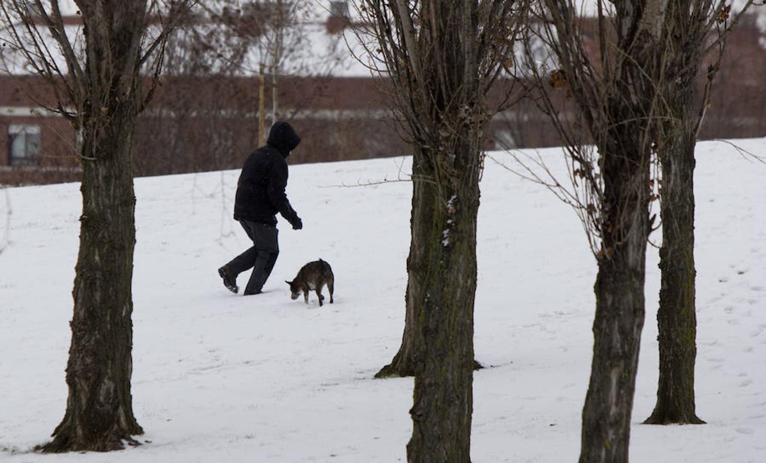 Un paseo mañanero se transforma como por arte de magia en una sensación diferente cada vez que un manto de nieve cubre la ciudad. El parque de San Miguel lucía con todo su esplendor la mañana de este 28 de febrero