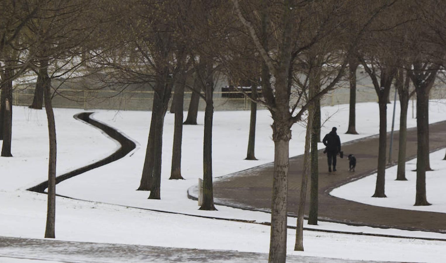 Un paseo mañanero se transforma como por arte de magia en una sensación diferente cada vez que un manto de nieve cubre la ciudad. El parque de San Miguel lucía con todo su esplendor la mañana de este 28 de febrero