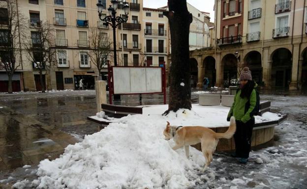 Nevada histórica en Logroño