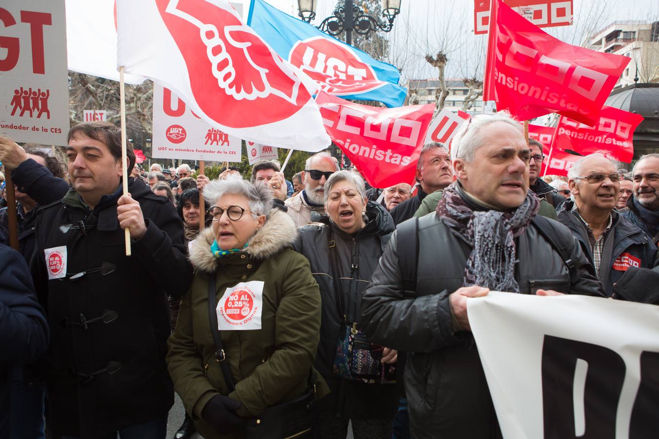 Los Jubilados reivindican unas pensiones dignas frente a la Delegación del Gobierno.