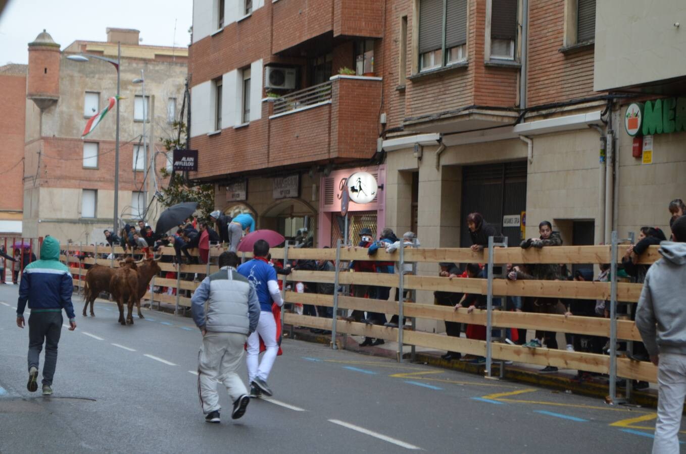 Al chupinazo celebrado por la mañana le siguió por la tarde el primer encierro de reses bravas. Sólo los más ‘valientes’ se atrevieron con el espectáculo. Y es que había que armarse de valor para soportar el frío y la lluvia que se apropiaron de la tarde en Calahorra. Al final, con gorros y paraguas, los aficionados disfrutaron de las vacas en la calle y de los saltos y quiebros de los recortadores en la plaza. Antes de la exhibición se guardó un minuto de silencio por el calagurritano Chema García, fallecido esta semana y gran aficionado al mundo taurino, y en especial a los encierros. 