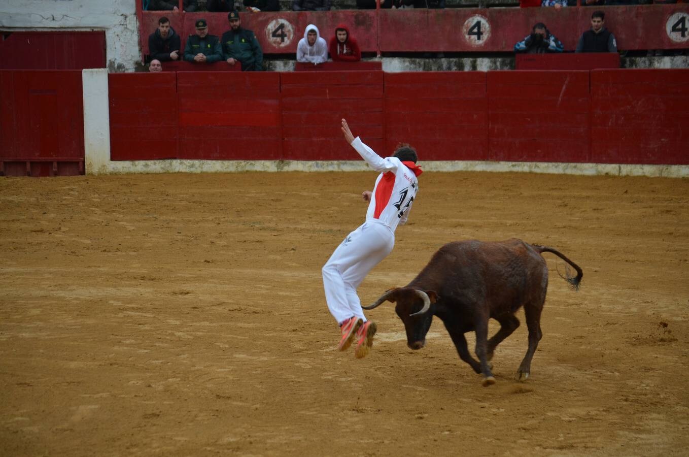 Al chupinazo celebrado por la mañana le siguió por la tarde el primer encierro de reses bravas. Sólo los más ‘valientes’ se atrevieron con el espectáculo. Y es que había que armarse de valor para soportar el frío y la lluvia que se apropiaron de la tarde en Calahorra. Al final, con gorros y paraguas, los aficionados disfrutaron de las vacas en la calle y de los saltos y quiebros de los recortadores en la plaza. Antes de la exhibición se guardó un minuto de silencio por el calagurritano Chema García, fallecido esta semana y gran aficionado al mundo taurino, y en especial a los encierros. 