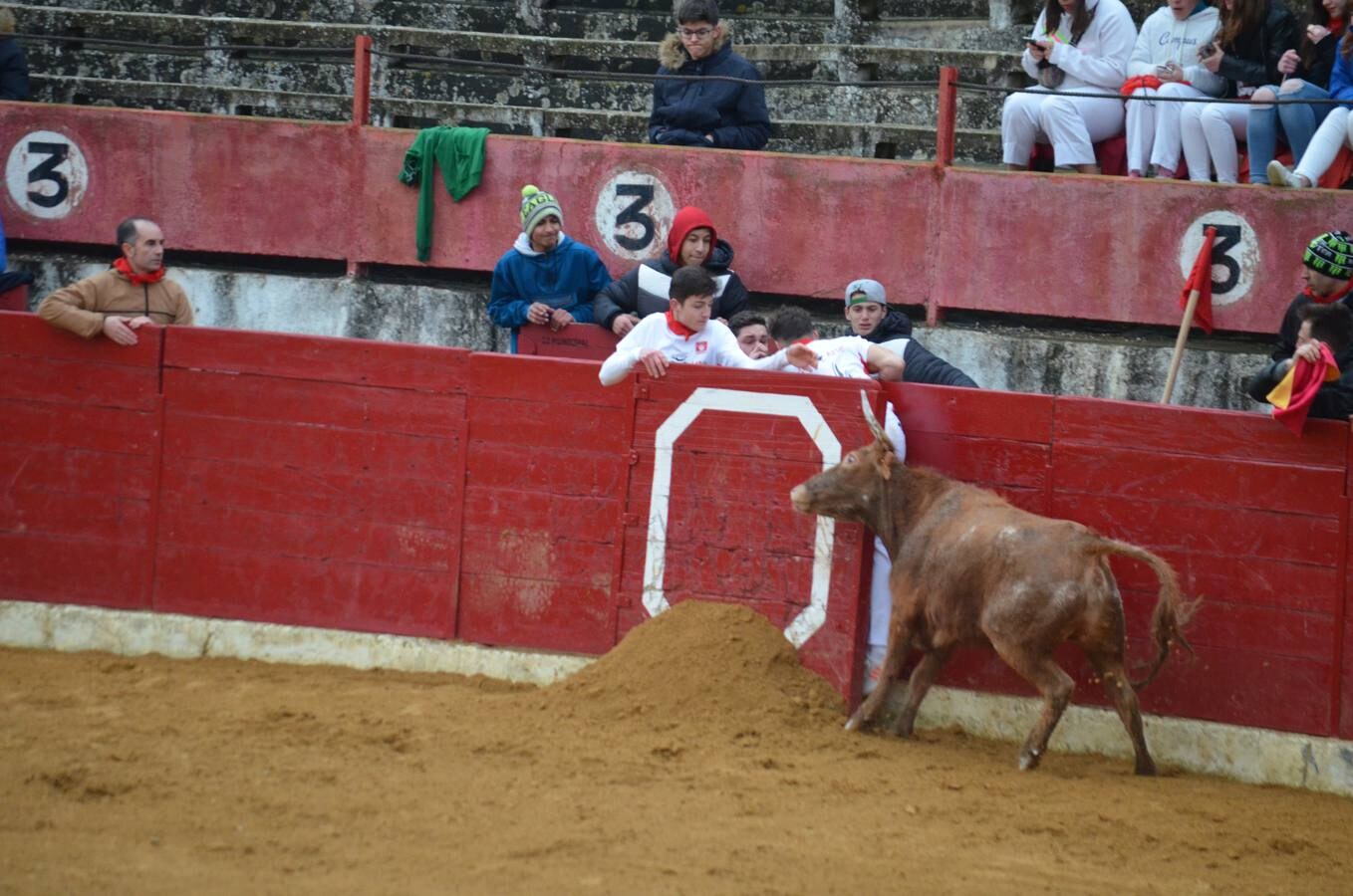 Al chupinazo celebrado por la mañana le siguió por la tarde el primer encierro de reses bravas. Sólo los más ‘valientes’ se atrevieron con el espectáculo. Y es que había que armarse de valor para soportar el frío y la lluvia que se apropiaron de la tarde en Calahorra. Al final, con gorros y paraguas, los aficionados disfrutaron de las vacas en la calle y de los saltos y quiebros de los recortadores en la plaza. Antes de la exhibición se guardó un minuto de silencio por el calagurritano Chema García, fallecido esta semana y gran aficionado al mundo taurino, y en especial a los encierros. 