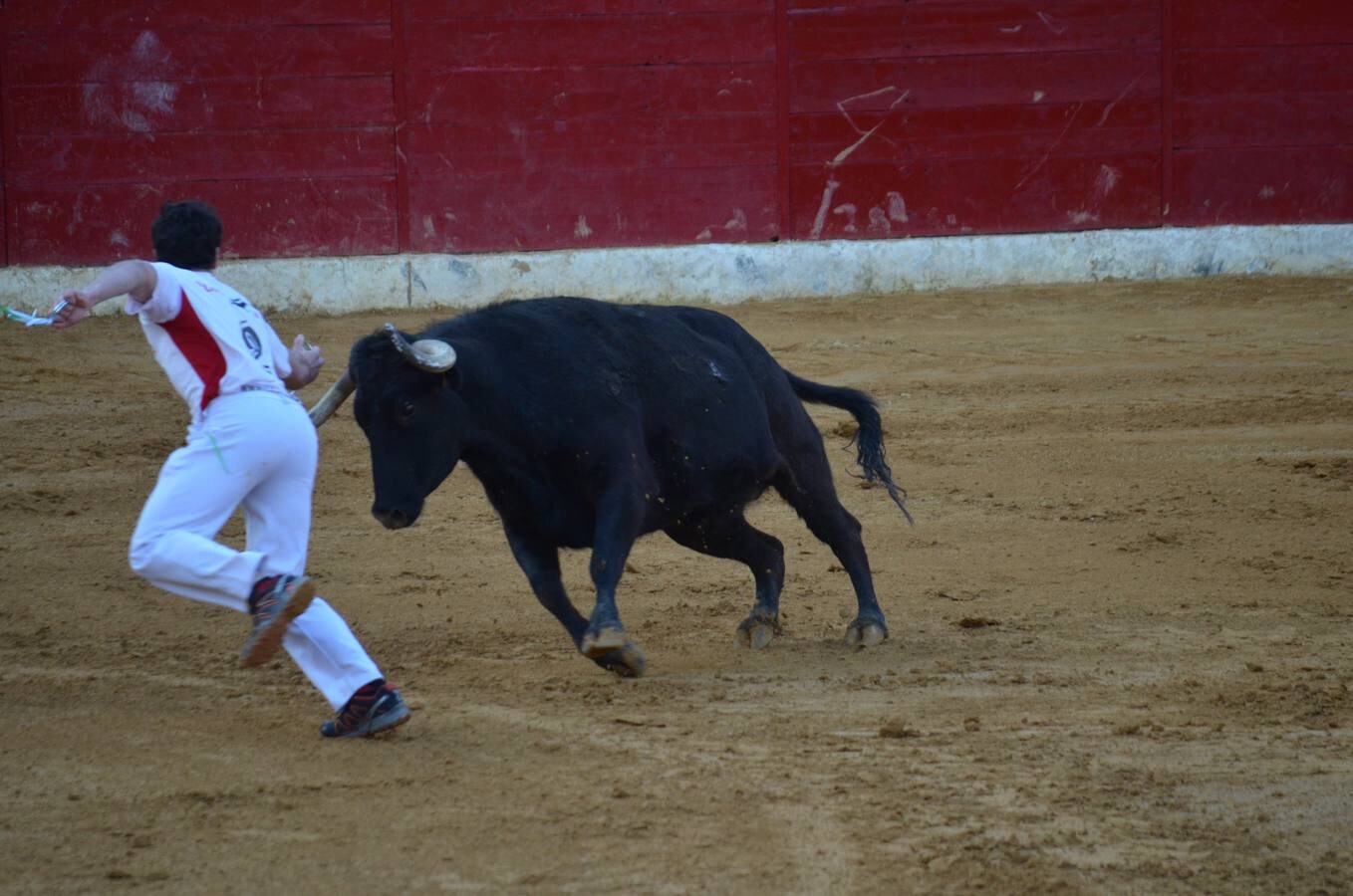 Este sábado, los calagurritanos pudieron disfrutar de la precisión y el riesgo en el concurso de anillas de la plaza