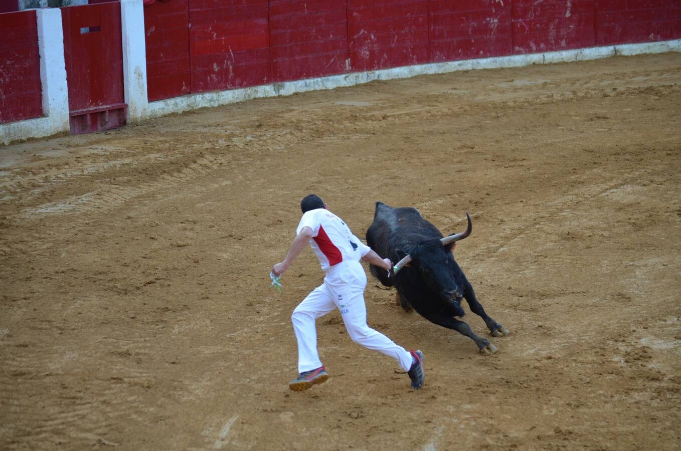 Este sábado, los calagurritanos pudieron disfrutar de la precisión y el riesgo en el concurso de anillas de la plaza