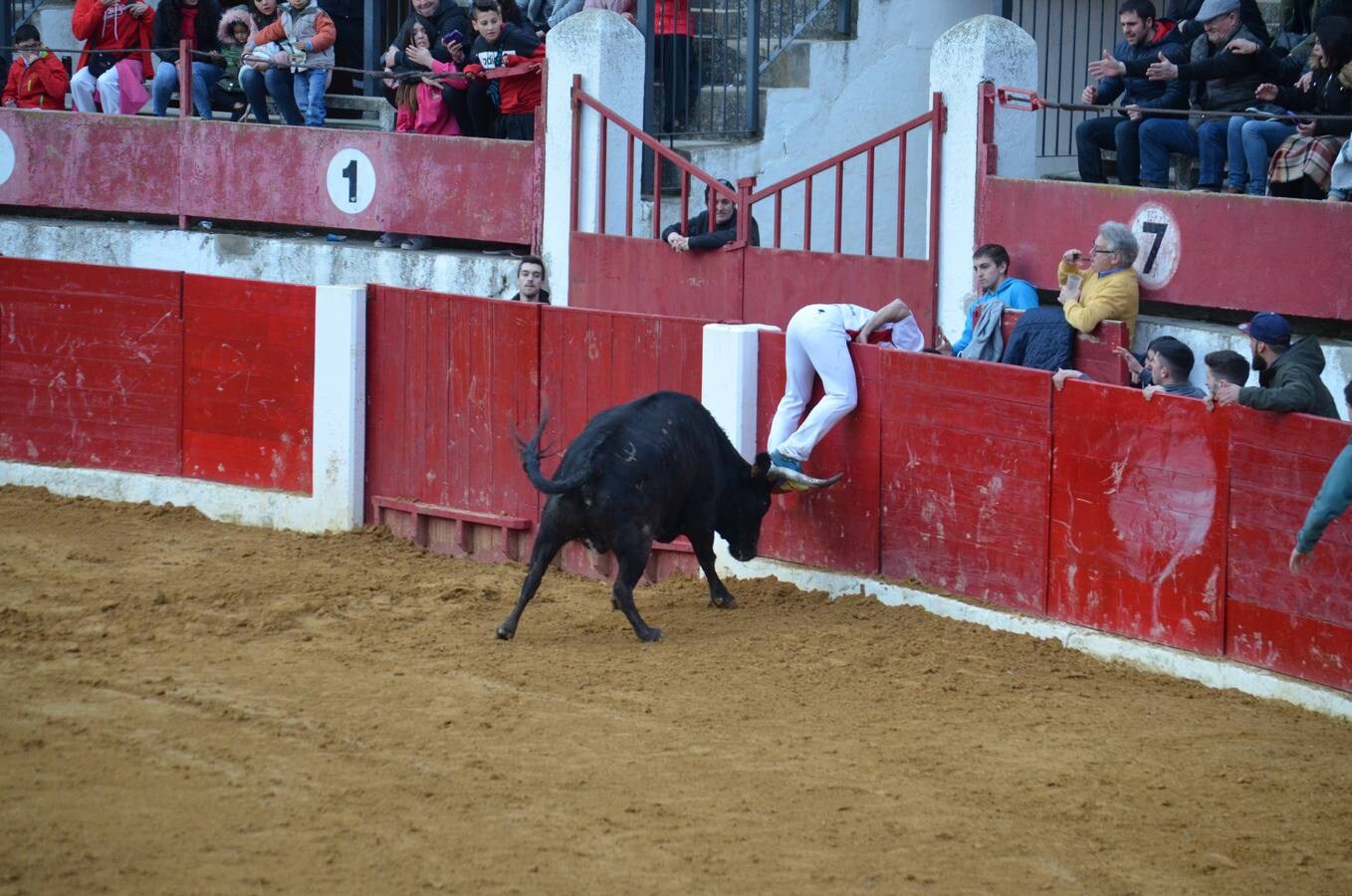 Este sábado, los calagurritanos pudieron disfrutar de la precisión y el riesgo en el concurso de anillas de la plaza