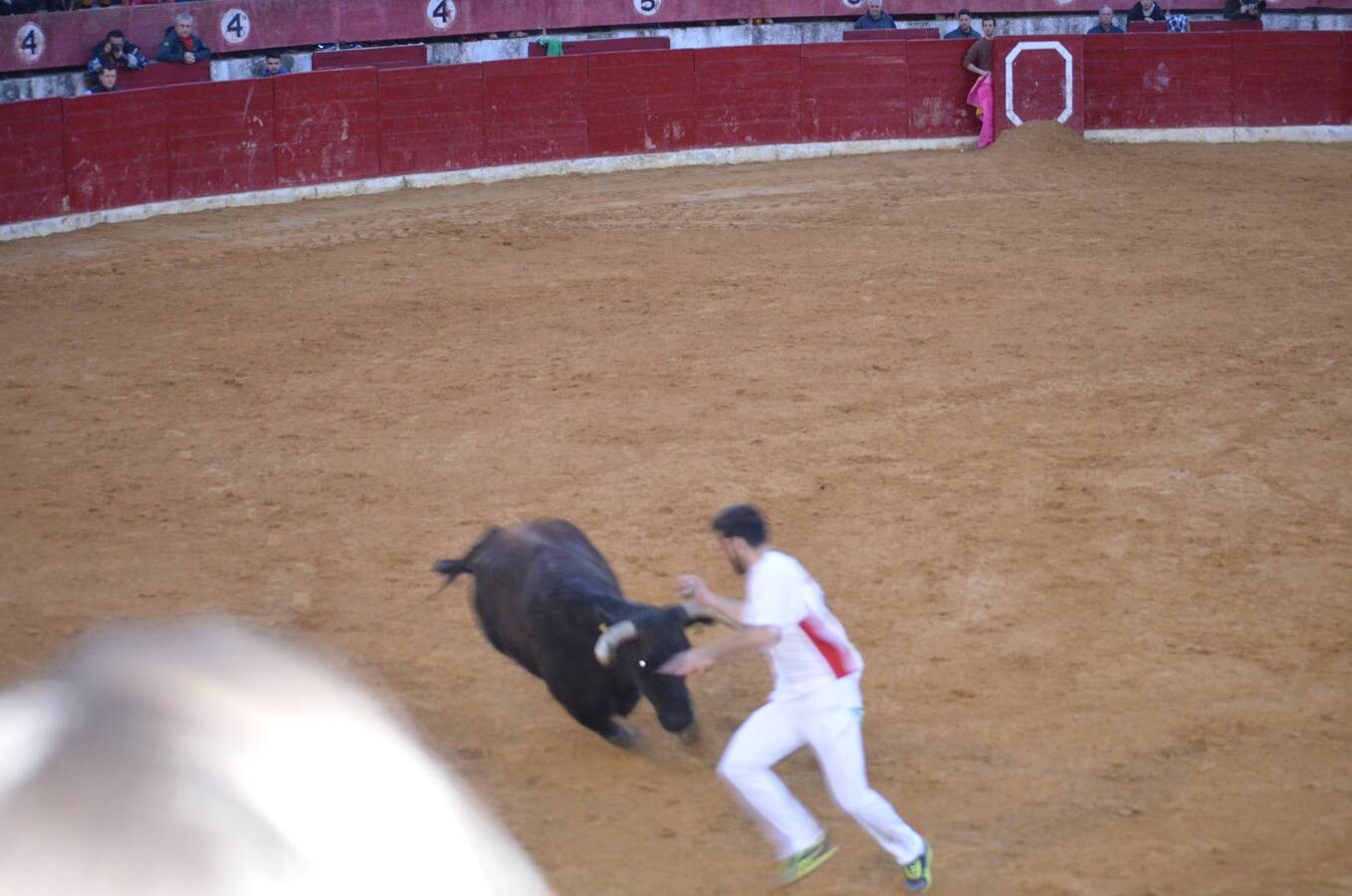 Este sábado, los calagurritanos pudieron disfrutar de la precisión y el riesgo en el concurso de anillas de la plaza