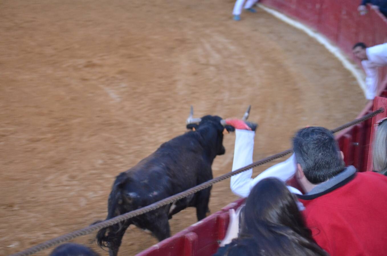 Este sábado, los calagurritanos pudieron disfrutar de la precisión y el riesgo en el concurso de anillas de la plaza