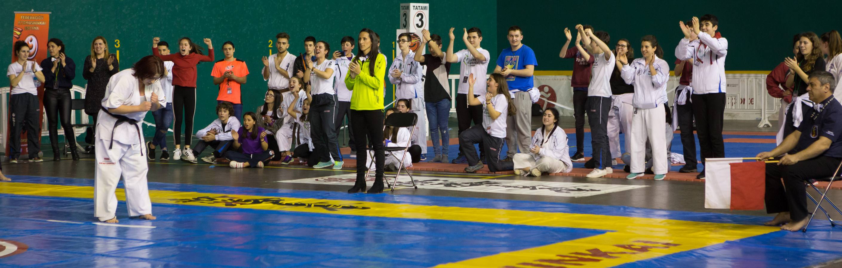 Más de 200 karatekas participaron ayer en el Campeonato de España de shinkyokushinkai.