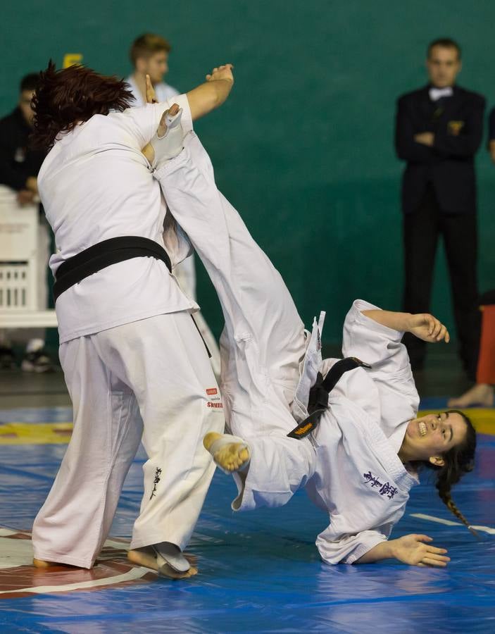 Más de 200 karatekas participaron ayer en el Campeonato de España de shinkyokushinkai.