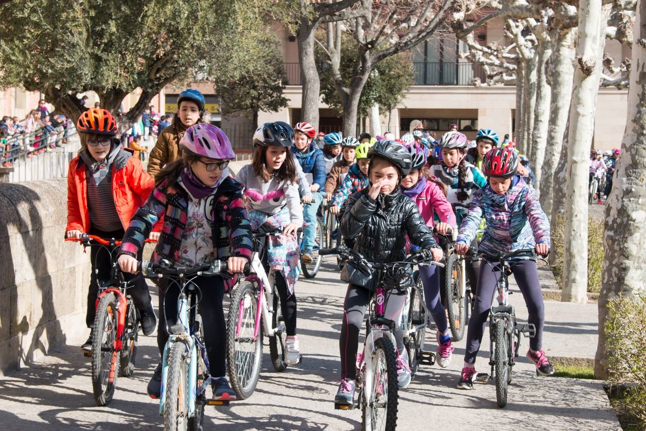 La V Marcha Solidaria en Bicicleta, a beneficio de la AECC ha reunido en Santo Domingo de la Calzada a cerca de 500 personas, la mayoría de ellas escolares.