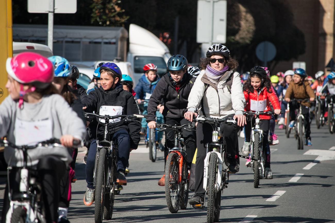 La V Marcha Solidaria en Bicicleta, a beneficio de la AECC ha reunido en Santo Domingo de la Calzada a cerca de 500 personas, la mayoría de ellas escolares.