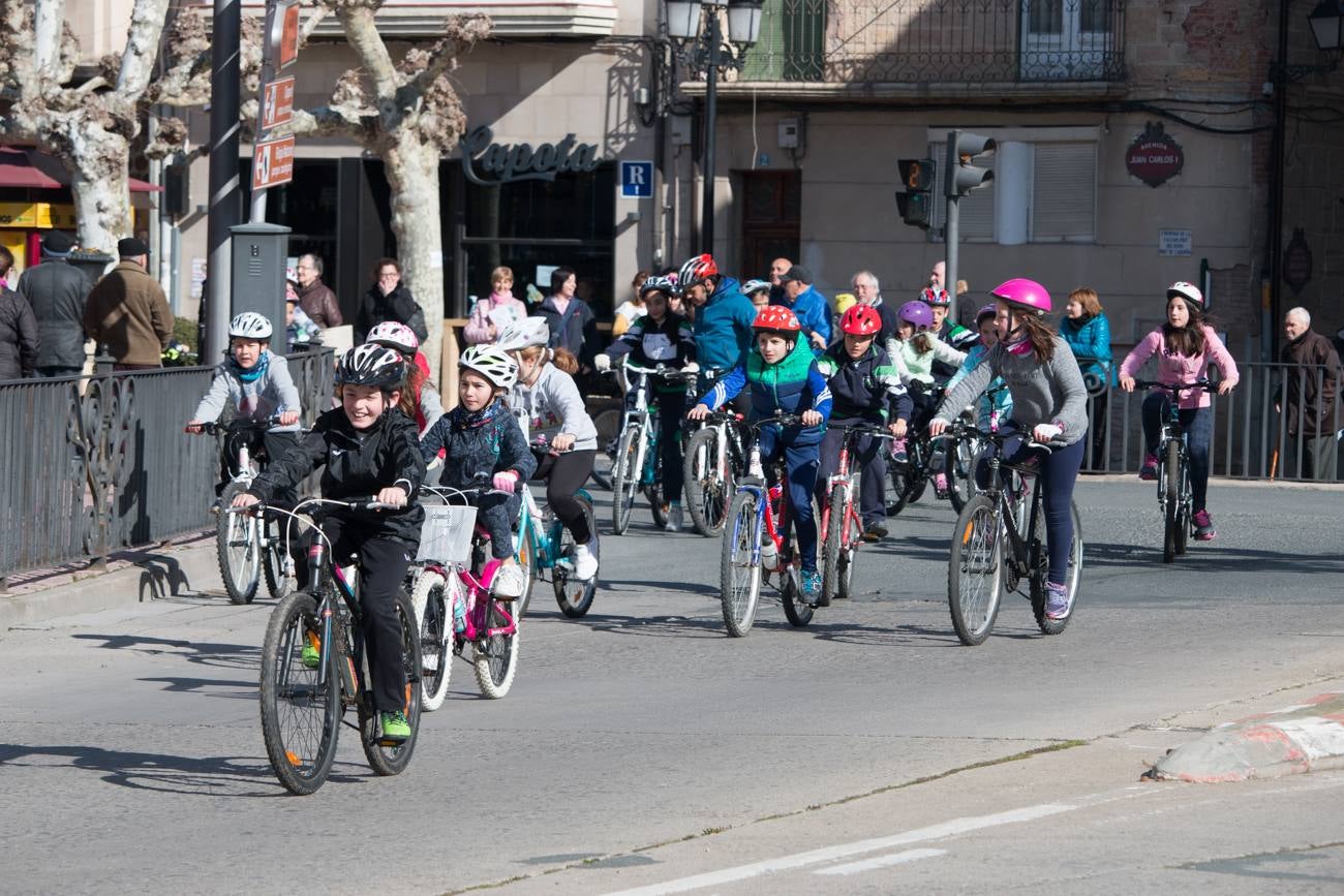 La V Marcha Solidaria en Bicicleta, a beneficio de la AECC ha reunido en Santo Domingo de la Calzada a cerca de 500 personas, la mayoría de ellas escolares.