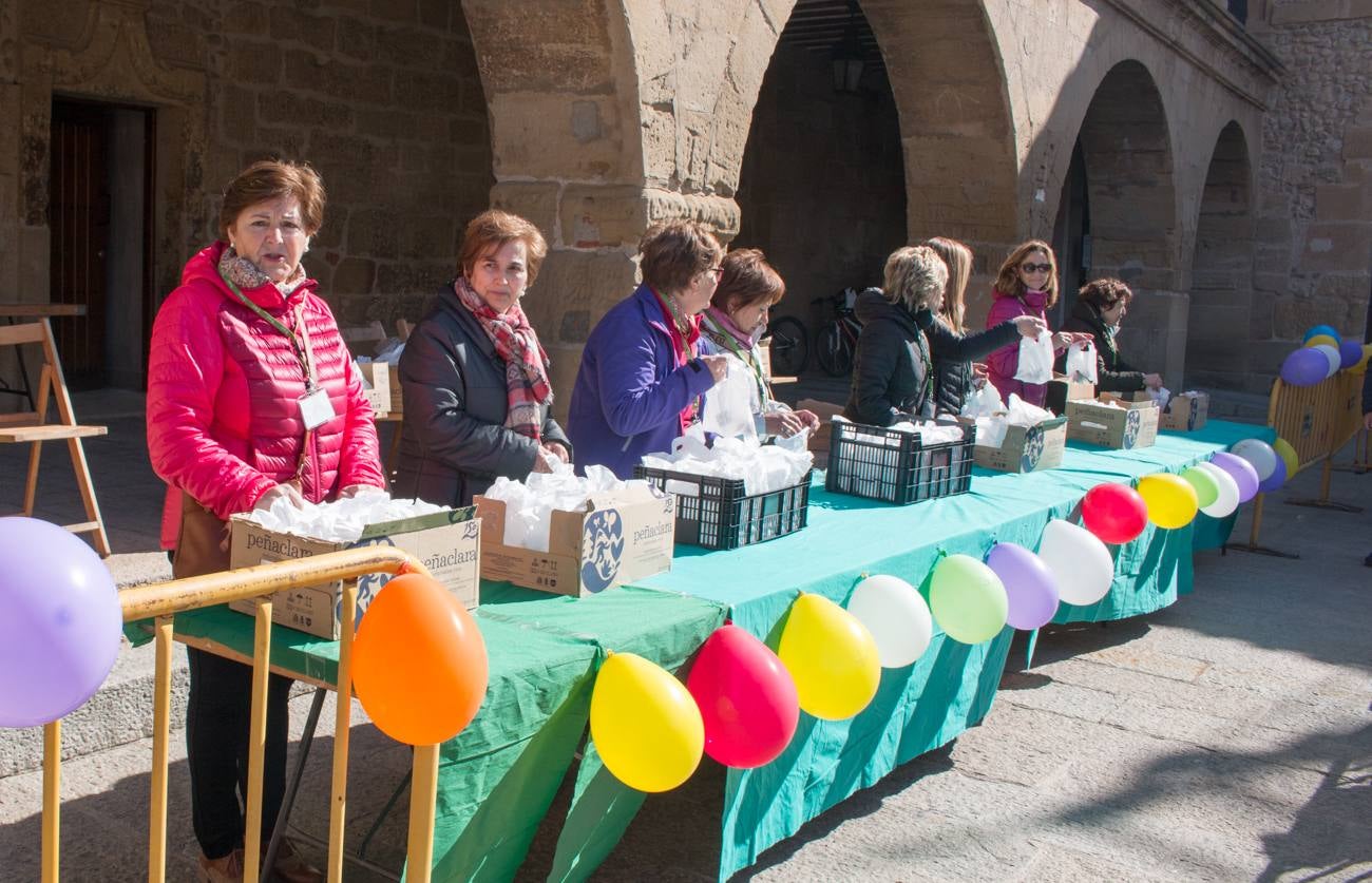 La V Marcha Solidaria en Bicicleta, a beneficio de la AECC ha reunido en Santo Domingo de la Calzada a cerca de 500 personas, la mayoría de ellas escolares.