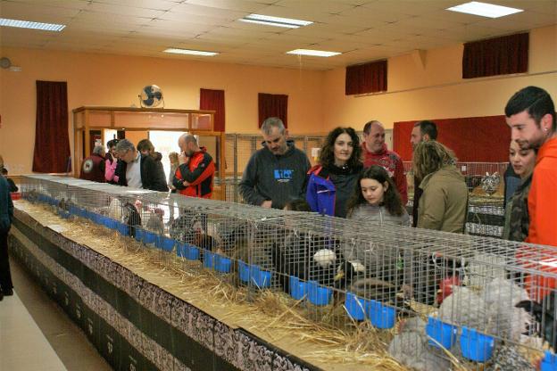 La muestra de aves en Alesanco ha sido muy visitada. :: F. D.