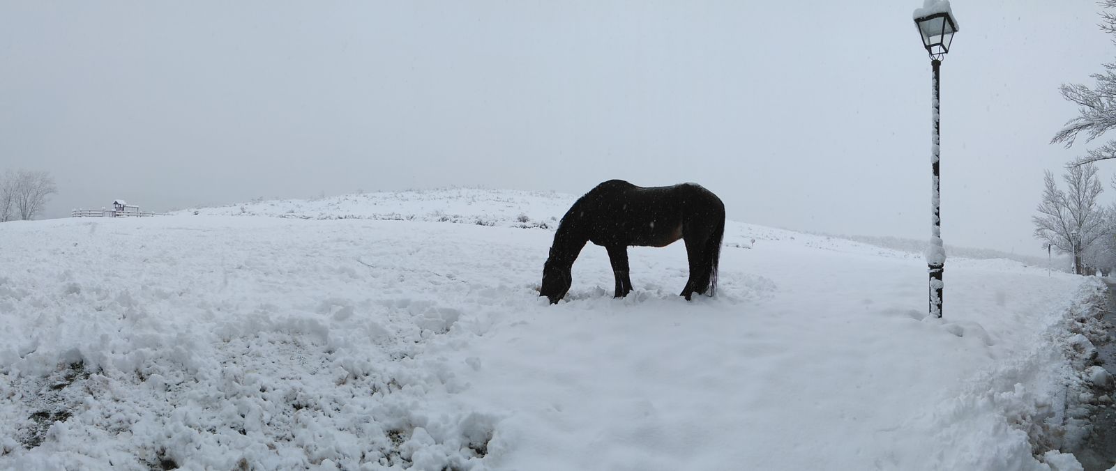 Nieva de Cameros y su aldea, Montemediano