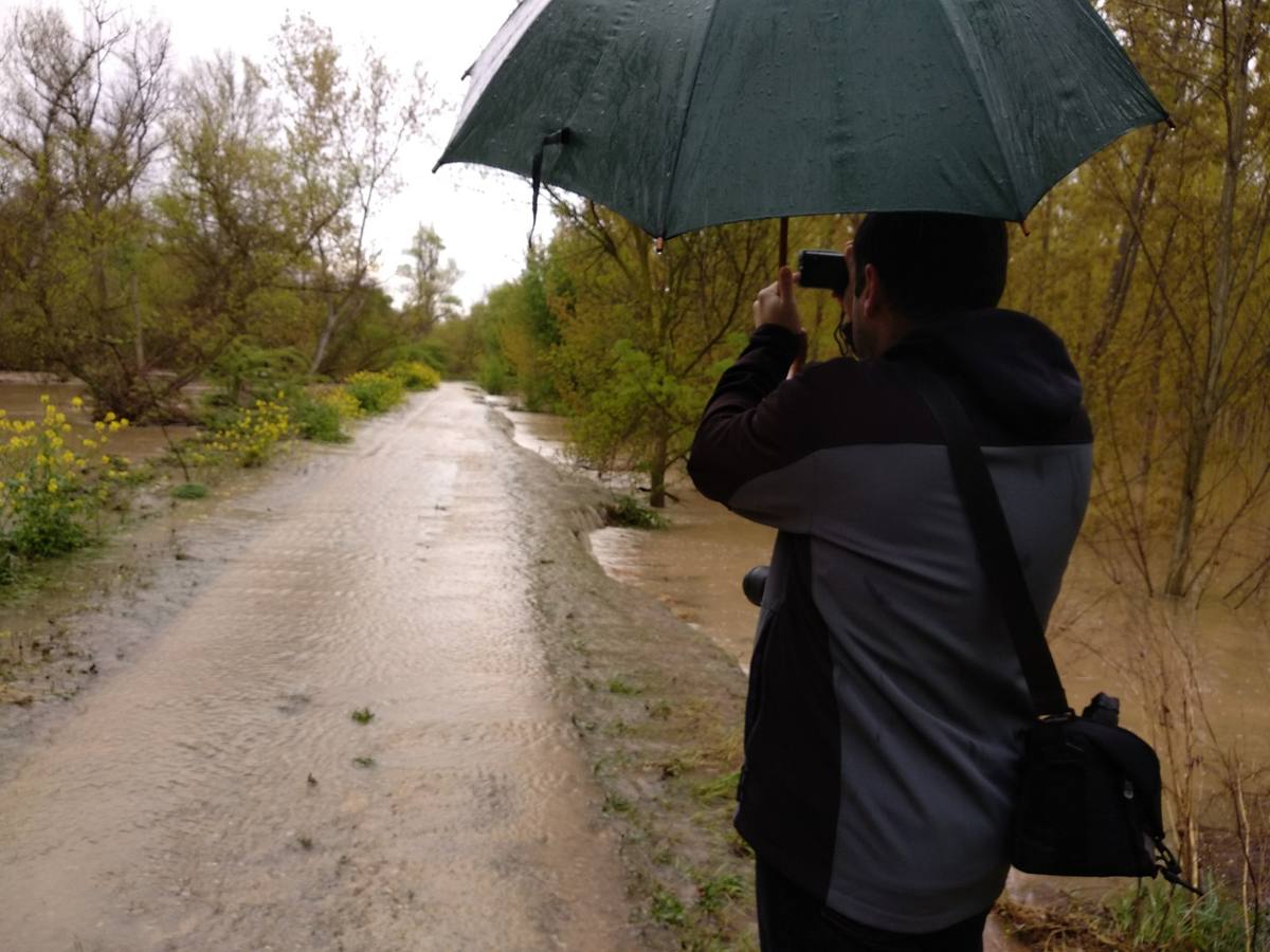 Fotos: El Ebro inunda Alfaro