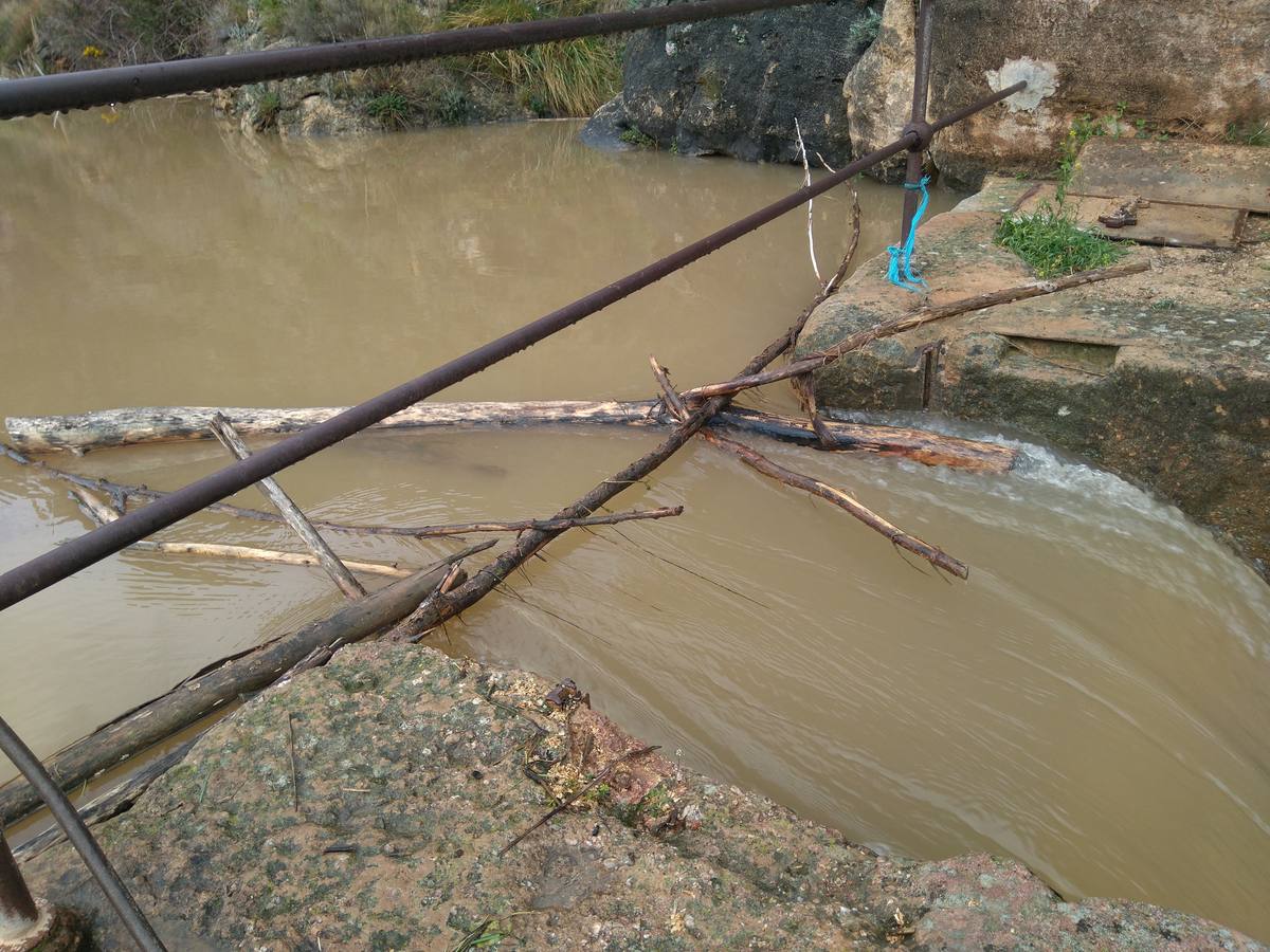 Las lluvias y las nevadas de los últimos meses han provocado el actual aumento de los cauces de los ríos de la comarca de Cervera. El Añamaza, procedente de tierras sorianas ha provocado el llenado del embalse del mismo nombre, en Valdegutur, pedanía de Cervera. Todas las compuertas están abiertas desde hace varios días y ayer el agua continuaba en el límite de la cota de la presa.