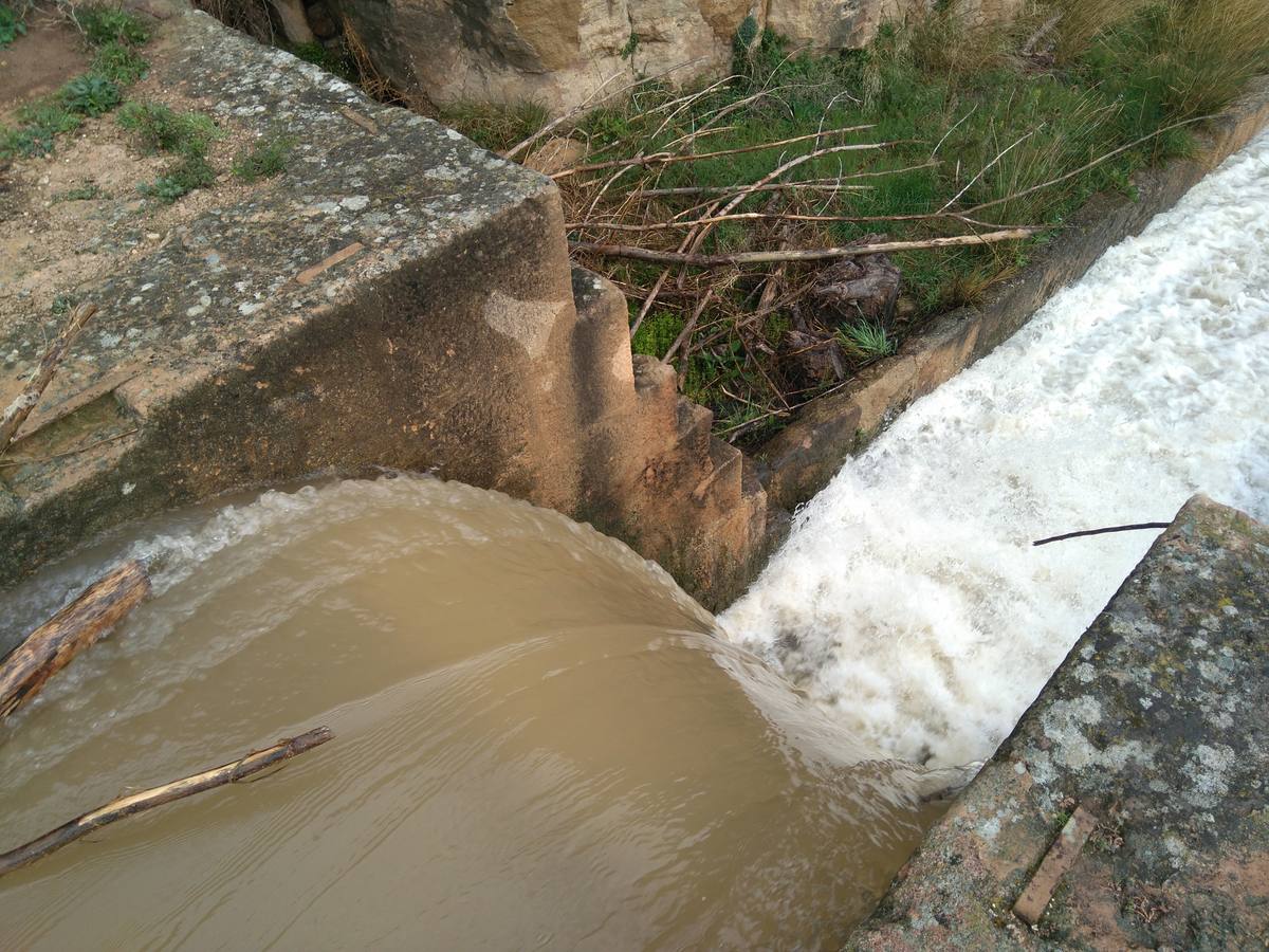 Las lluvias y las nevadas de los últimos meses han provocado el actual aumento de los cauces de los ríos de la comarca de Cervera. El Añamaza, procedente de tierras sorianas ha provocado el llenado del embalse del mismo nombre, en Valdegutur, pedanía de Cervera. Todas las compuertas están abiertas desde hace varios días y ayer el agua continuaba en el límite de la cota de la presa.